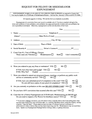Felony or Misdemeanor Expungement Request