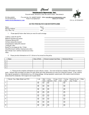 Auto Insurance Questionnaire