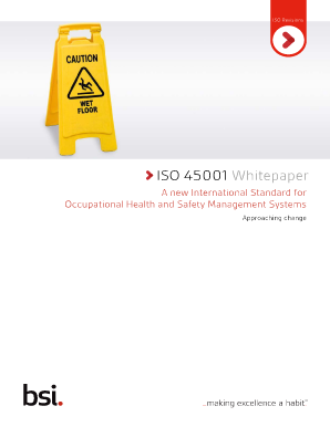 ISO 45001 Whitepaper - BSi