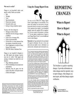 Michigan Change Report Form
