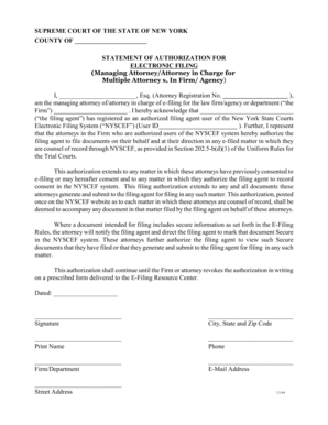 New York Electronic Filing Authorization