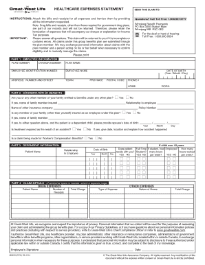 Healthcare Expenses Statement