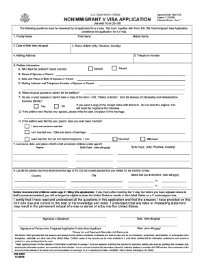 Visa Application Form DS-3052