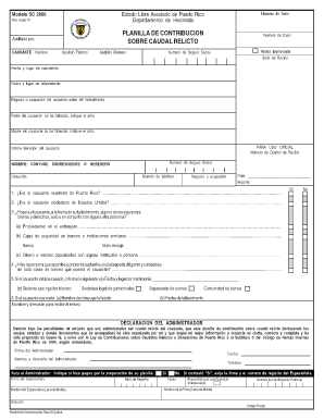 Form preview picture