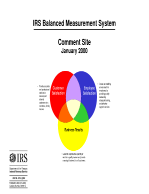 IRS Balanced Measurement System Comment Form