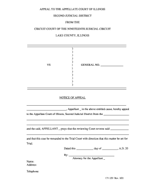 Appeal to the Appellate Court of Illinois