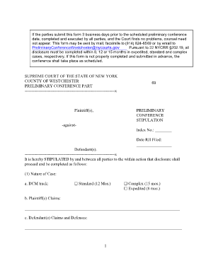New York Preliminary Conference Stipulation