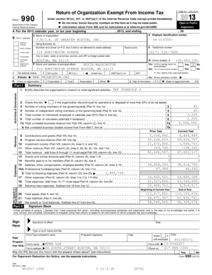 IRS Form 990 2013