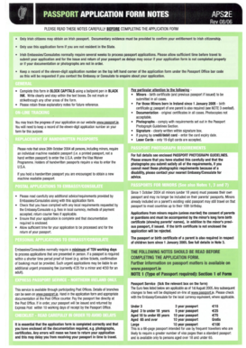 Irish Passport Application Form