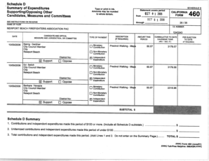 Fillable Online (Schedule D Summary of Expenditures Type or print in ...