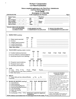 Workers Compensation Low Back Examination Form