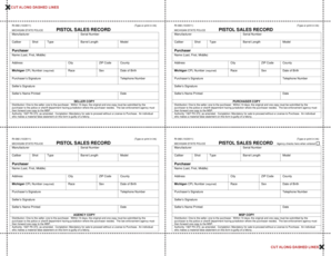 Michigan Pistol Sales Record