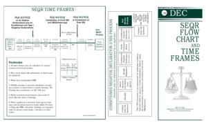 SEQR Flow Chart and Time Frames - dec ny