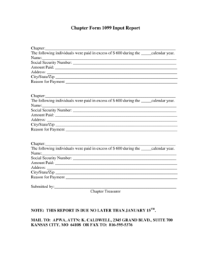 Chapter Form 1099 Input Report