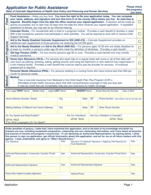 Colorado Public Assistance Application
