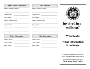New York Accident Report Form