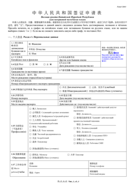 China Visa Application Form