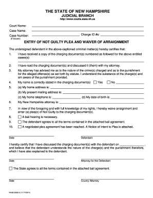New Hampshire Not Guilty Plea and Waiver of Arraignment