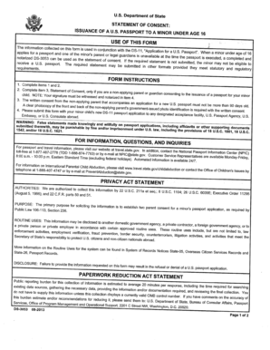 US Passport Consent Form for Minors