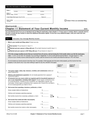 Chapter 11 Statement of Your Current Monthly Income