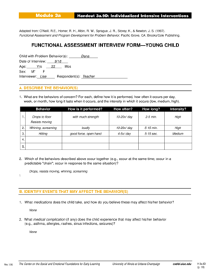 Functional Assessment Interview Form for Young Child