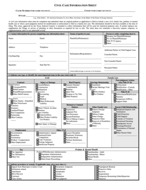 Texas Civil Case Information Sheet