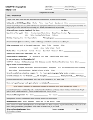 MIECHV Demographics Intake Form