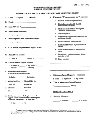 Child Support Summary Form