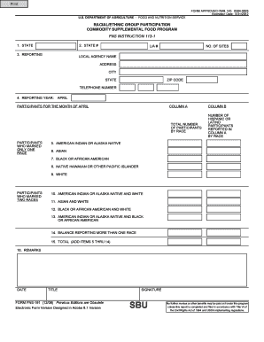 FNS-191 Racial/Ethnic Group Participation Report