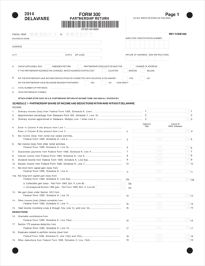 Delaware Partnership Return Form 300