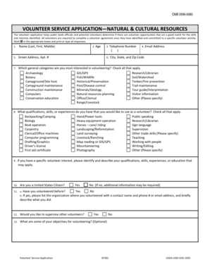 Volunteer Service Application OF301