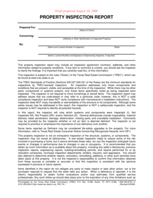 Texas Property Inspection Report