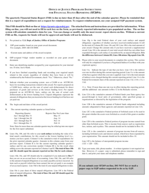 US Department of Justice Financial Status Report