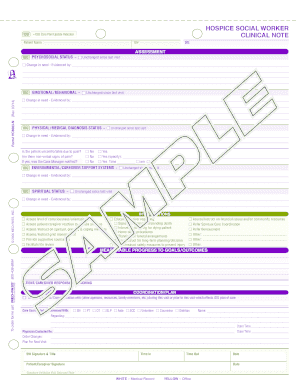 Hospice Social Worker Care Plan Update