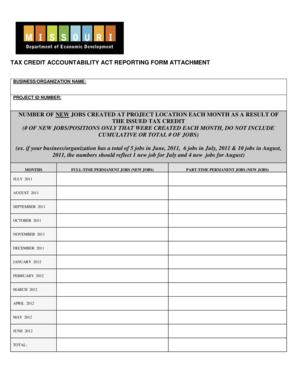 Tax Credit Accountability Act Reporting Form