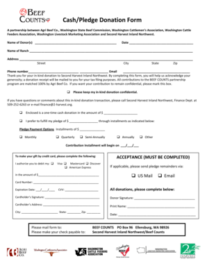 Cash/Pledge Donation Form
