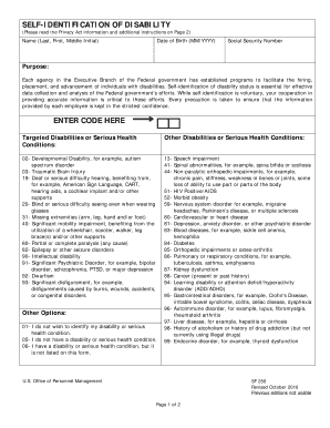 US Federal Disability Self-Identification Form