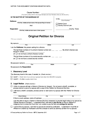 Texas Divorce Petition Form