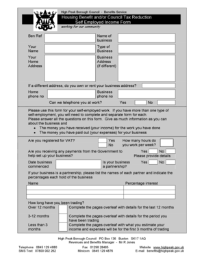 Self Employed Income Form