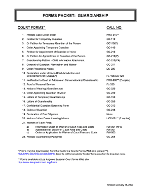 Guardianship Court Forms Packet