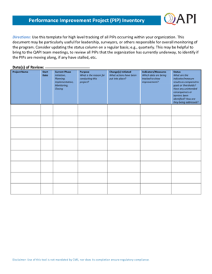 Performance Improvement Project Tracking Template