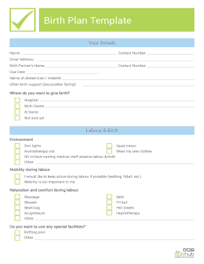 Fillable Online Birth Plan Template - The Bub Hub Fax Email Print ...