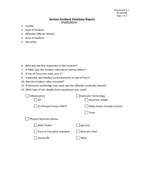 Serious Incident Database Report