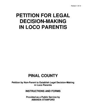 Petition for Legal Decision-Making in Loco Parentis