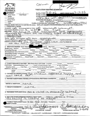 Child Visitation Report Form