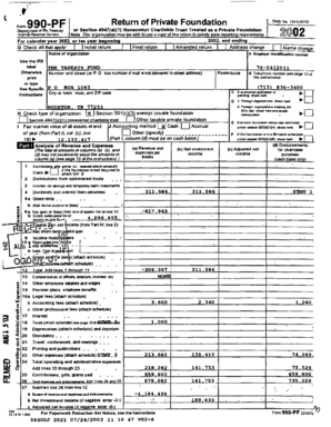 IRS Form 990-PF 2002