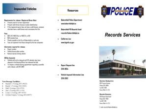 Records Brochure