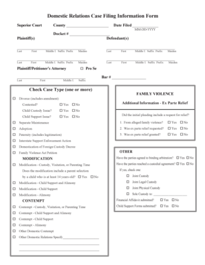 Domestic Relations Case Filing Form