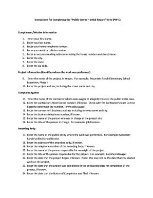 Public Works Initial Report Form
