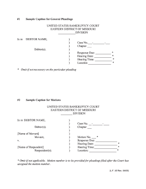 US Bankruptcy Court Pleading Template